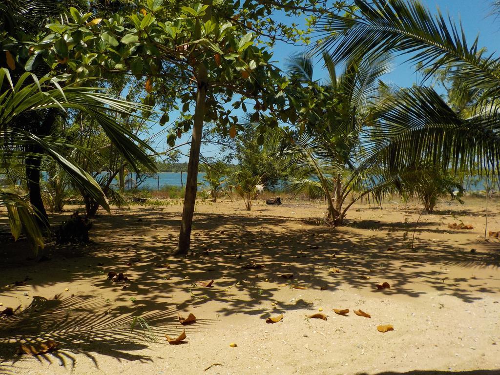 Hotel Reef Pasikudah Nachivantivu Exteriér fotografie